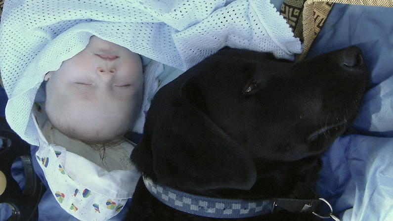 New baby sleeping with Harry dog