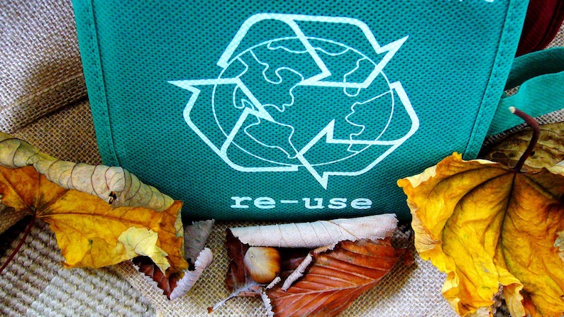 Conservation - Reuse bags