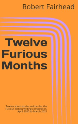 Twelve Furious Months by Robert Fairhead